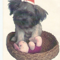 Photo de profil de Kuki