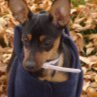 Photo de profil de Hoku