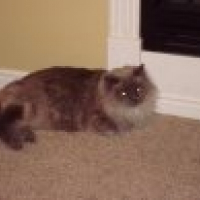 Photo de profil de Moxy