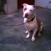Photo de Tisoy
