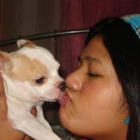 Photo de profil de Sam