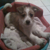Photo de Dixy