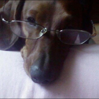 Photo de profil de Milo