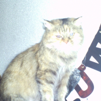 Photo de profil de Fleur