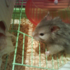 Photo de Jazz