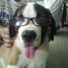 Photo de Otis
