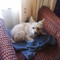 Photo de profil de Max