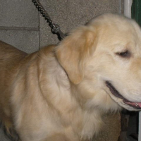 Photo de profil de Enzo