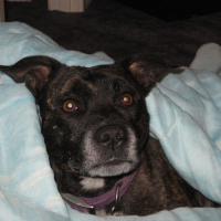 Photo de profil de Ebony