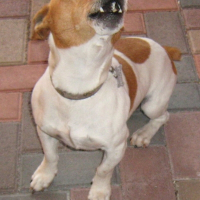 Photo de profil de Milo