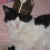 Photo de Witchy