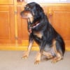 Photo de Bobbi