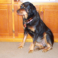 Photo de profil de Bobbi
