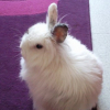 Photo de Poupette