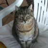 Photo de Mimine