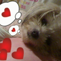 Photo de profil de Tammi
