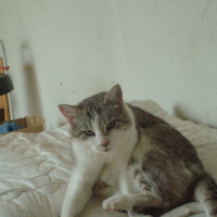 Photo de profil de Minette