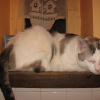 Photo de Philomene