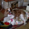 Photo de Lyla