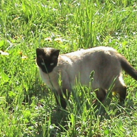 Photo de profil de Yuki