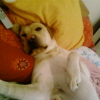 Photo de Boub