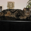 Photo de Lilith
