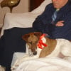 Photo de Jackou
