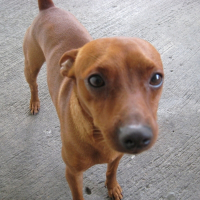 Photo de profil de Goliath