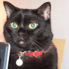 Photo de Fifi