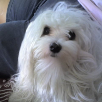 Photo de profil de Penny