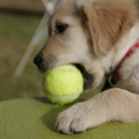 Photo de profil de Bonnie