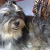 Photo de Fuzzy