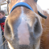 Photo de profil de Jayla