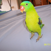 Photo de profil de Piks