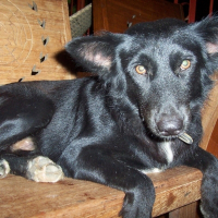 Photo de profil de Butchok