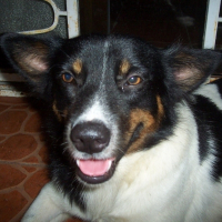 Photo de profil de Bj