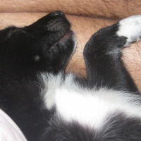 Photo de profil de Jack