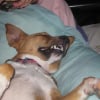 Photo de Missie