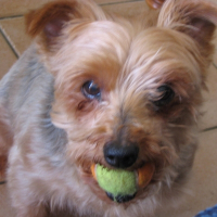 Photo de profil de Murphy