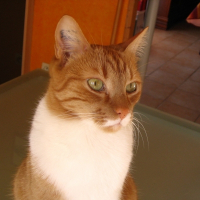Photo de profil de Bouba