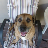 Photo de profil de Buddy
