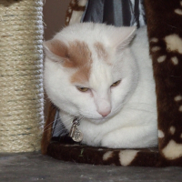 Photo de profil de Enzo