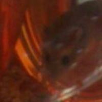 Photo de profil de Louping