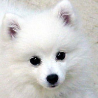 Photo de profil de Keisha