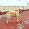 Photo de Luna