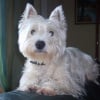 Photo de Queeny