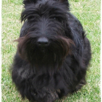 Photo de profil de Rex