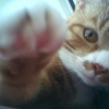 Photo de Illovo