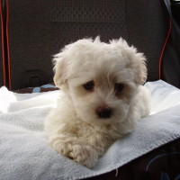 Photo de profil de Charly