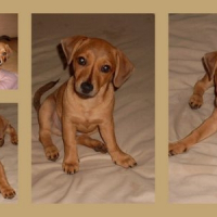 Photo de profil de Fudge